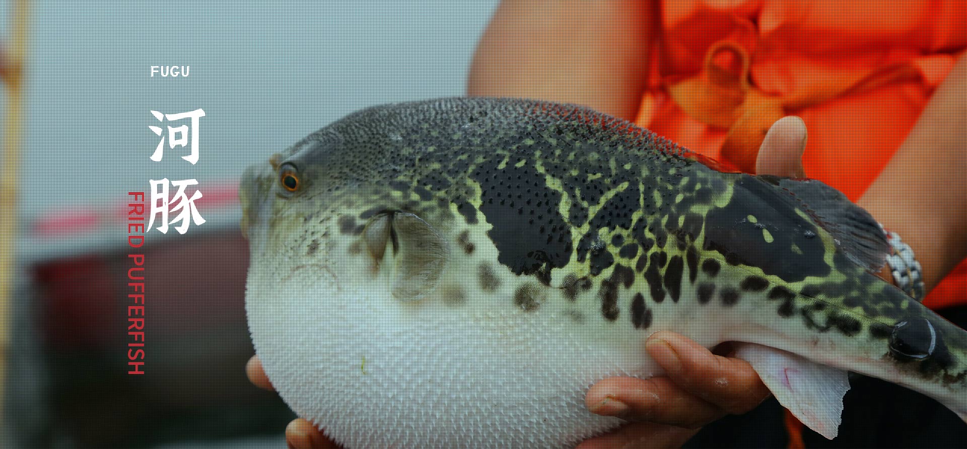 betway体育·88(必威)官方网站