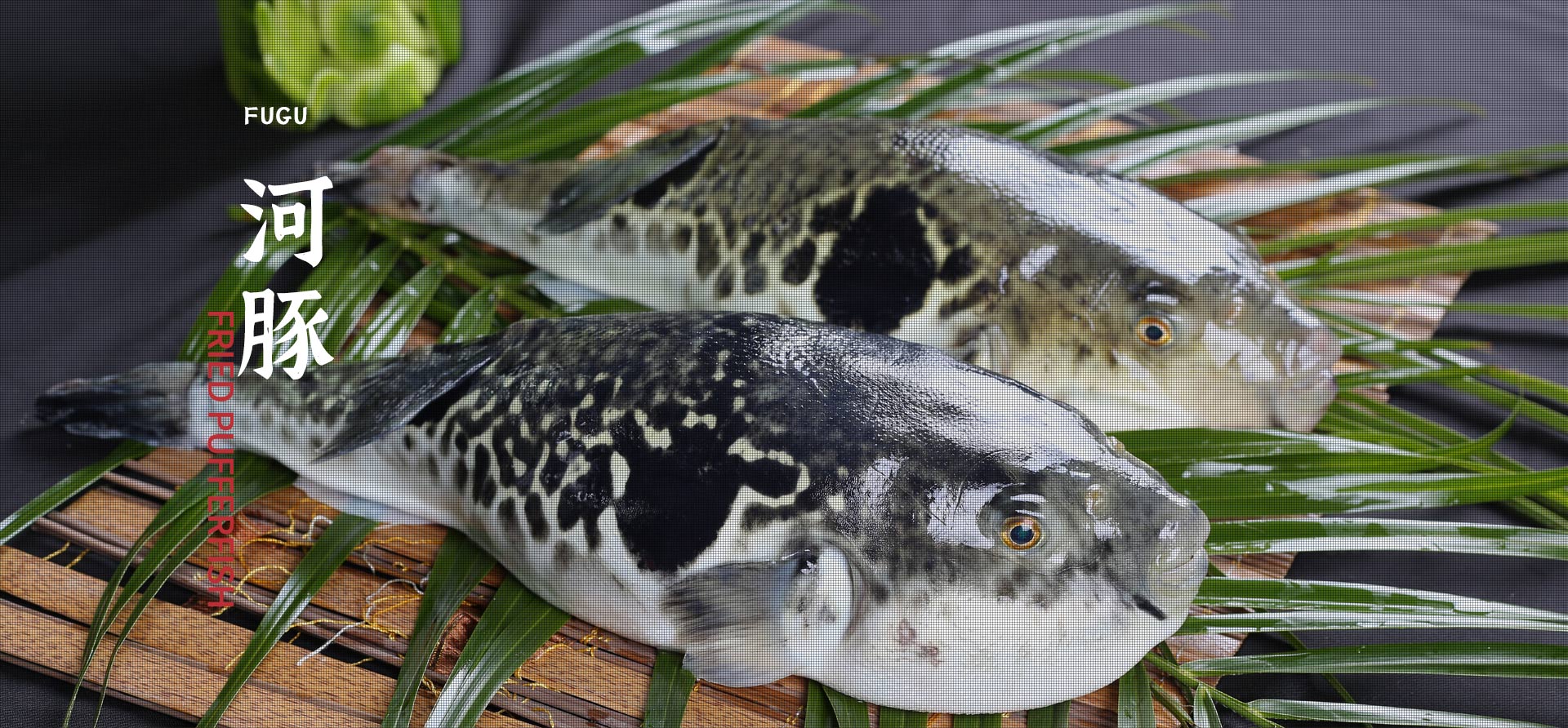 betway体育·88(必威)官方网站